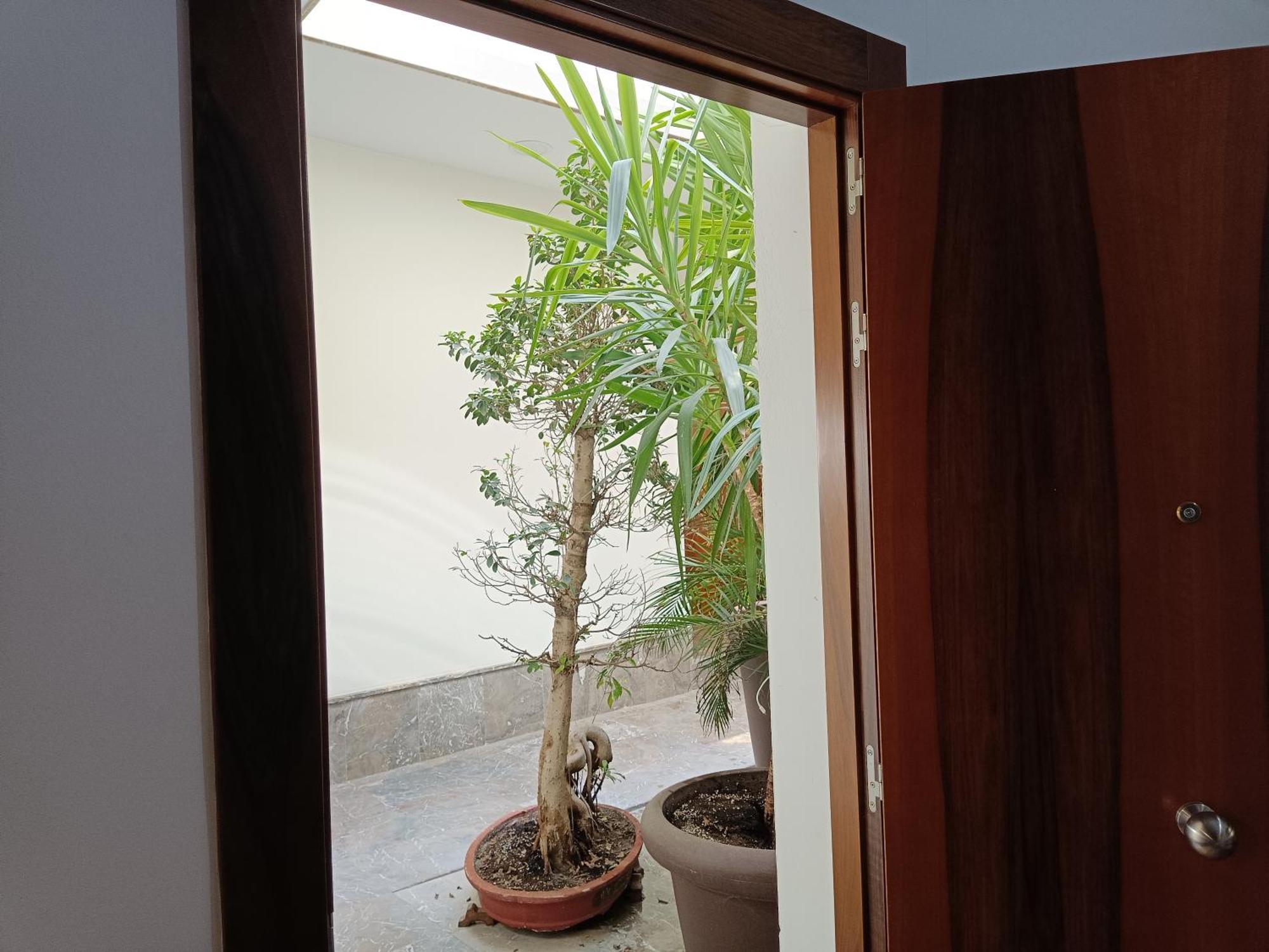 Apartamentos Luxury Puente De Triana เซบีญา ภายนอก รูปภาพ