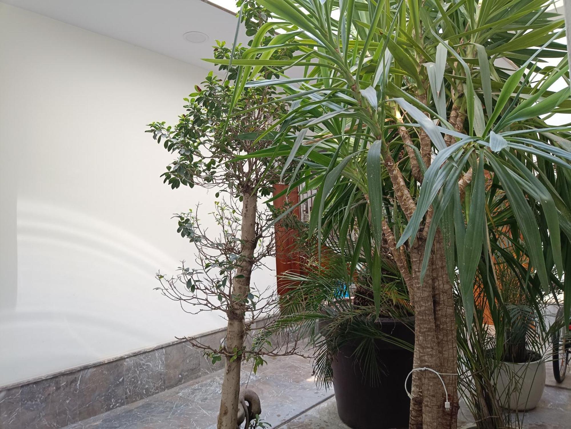 Apartamentos Luxury Puente De Triana เซบีญา ภายนอก รูปภาพ